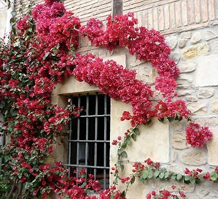 Casa rural Vallejo *